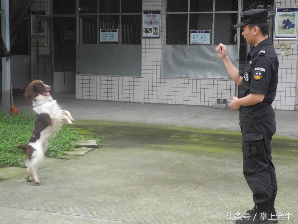 广东天狼有限公司，探索卓越，引领未来