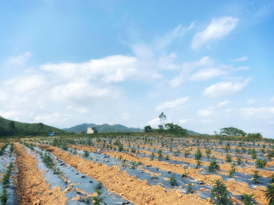 广东省惠来的地理位置与所属地区概述