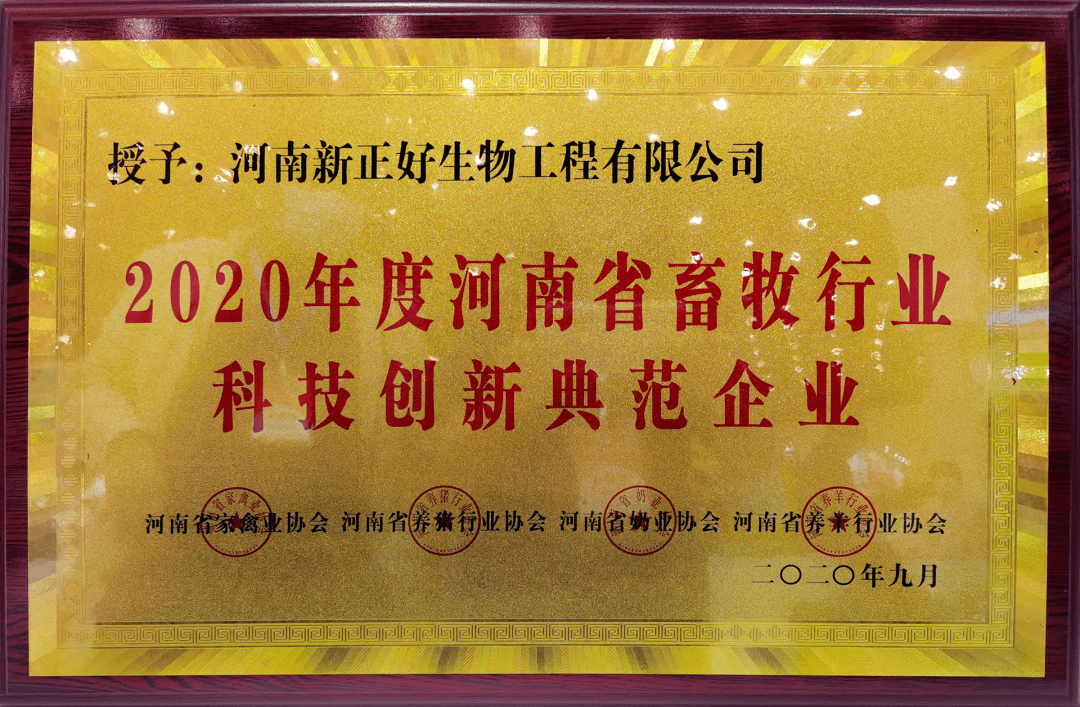 广东中健药业有限公司，传承与创新共融的药业典范